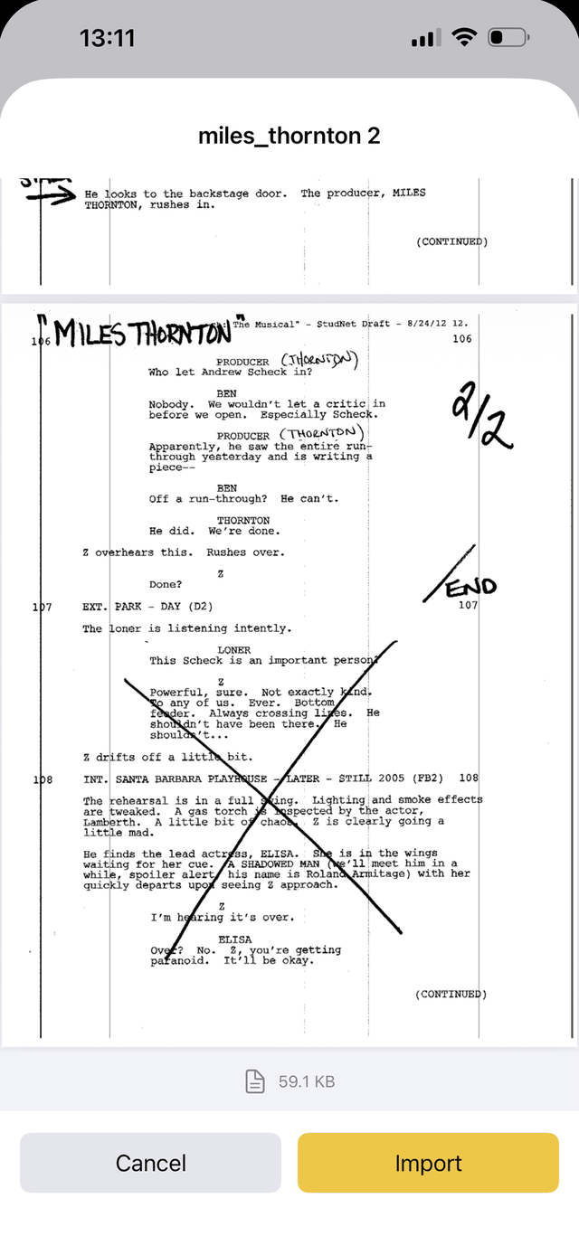 Importing a PDF screenplay, the parsed pages ready to confirm
